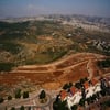 נדלן || תוצאות מכרזי מקרקעין של רשות מקרקעי ישראל