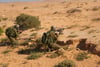 חצי שנה ועוד לא נמצא הפתרון לסירוב חברות ביטוח לבטח נכי צהל והלומי קרב