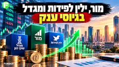 מור ילין לפידות ומגדל שוקי הון בגיוס כולל של מעל מיליארד שקלים / קרדיט: אילוסטרציה – AI