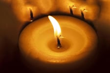 אורן פרנק הלך לעולמו / Image-from-Pixabay