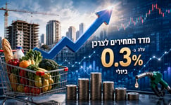 מדד המחירים לצרכן עלה / קרדיט: אילוסטרציה – AI