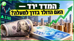 המדד ירד, הדולר יגיב? / קרדיט: אילוסטרציה – AI