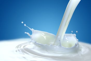 רפורמת החלב אושרה בממשלה / תמונה: Dreamstime