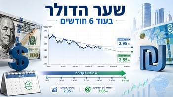 שער הדולר שקל בעוד 6 חודשים / קרדיט: אילוסטרציה – AI