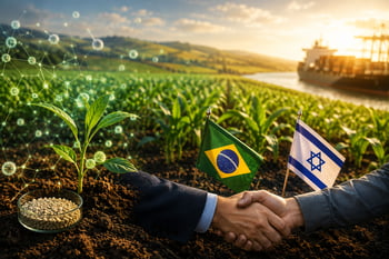 הסכם מסחרי בלעדי להפצת MAOZ בברזיל / קרדיט: אילוסטרציה – AI הסכם מסחרי בלעדי להפצת MAOZ בברזיל / קרדיט: אילוסטרציה – AI