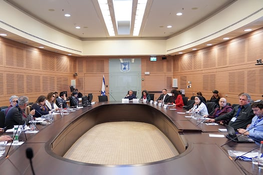 ועדת המשנה של ועדת הכלכלה לעסקים קטנים ובינוניים, צילום: דוברות הכנסת, דני שם טוב