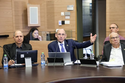 סקירת נגיד ישראל בוועדת הכספים, צילום: דני שם טוב, דוברות הכנסת