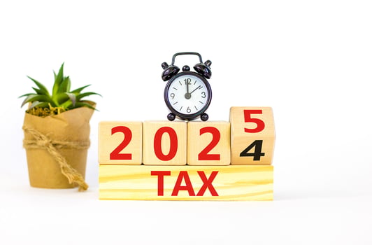 פעולות נדרשות לסוף שנת המס 2024 / צילום: Dreamstime