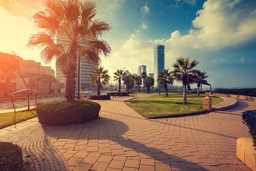תוצאות מכרז רשות מקרקעי ישראל / תמונה: Dreamstime