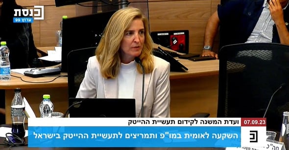 מאיה שוורץ, מנכ״לית איגוד ההיי-טק, תצלום מתוך ערוץ הכנסת