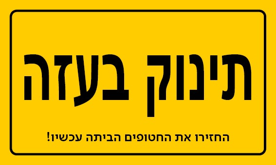 צילום: קבוצת כדורי 