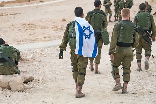 פצועי צהל נדרשים לשלם פרמיות ביטוח גבוהות במיוחד / תמונה: Dreamstime