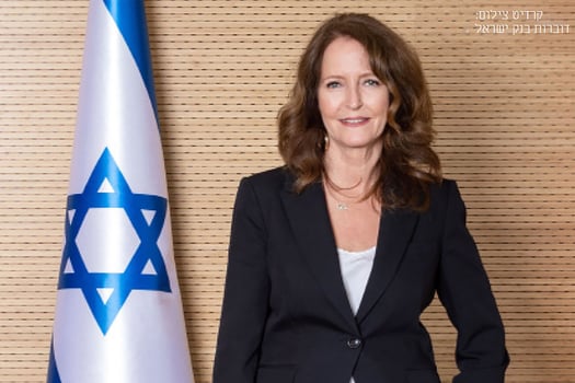 שולמית גרי, מנכ״לית בנק ישראל, צילום: דוברות בנק ישראל
