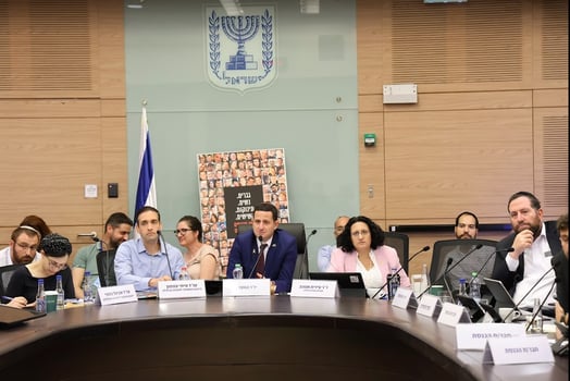 דיון בוועדת הכלכלה / צילום: דוברות הכנסת, דני שם טוב