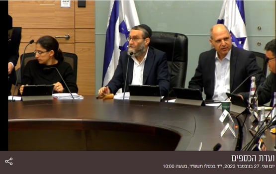 צילום מסך מתוך הדיון הבוקר בוועדת הכספים של הכנסת / אתר הכנסת