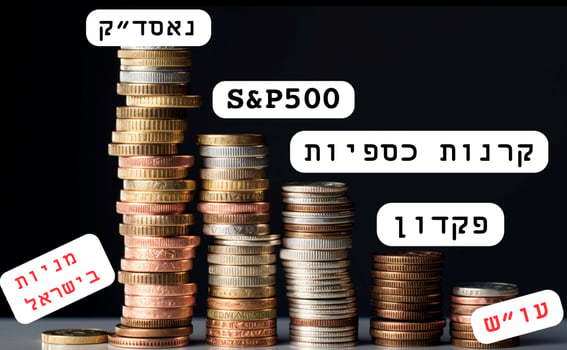 איור פאנדר אילוסטרציה