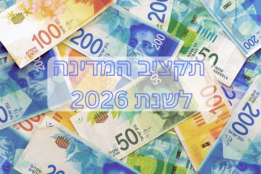 הממשלה אישרה את עדכון תקציב המדינה לשנת 2026 / תמונה: Dreamstime